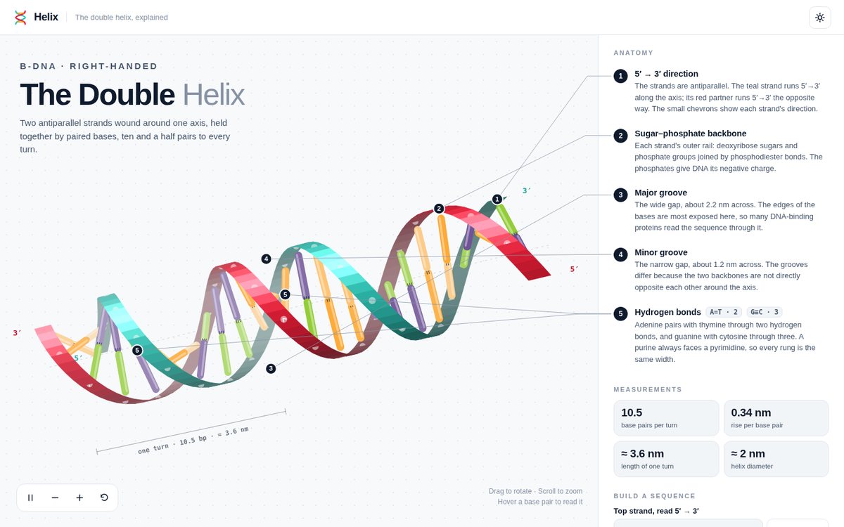 Vista previa de Helix — The Double Helix Explained